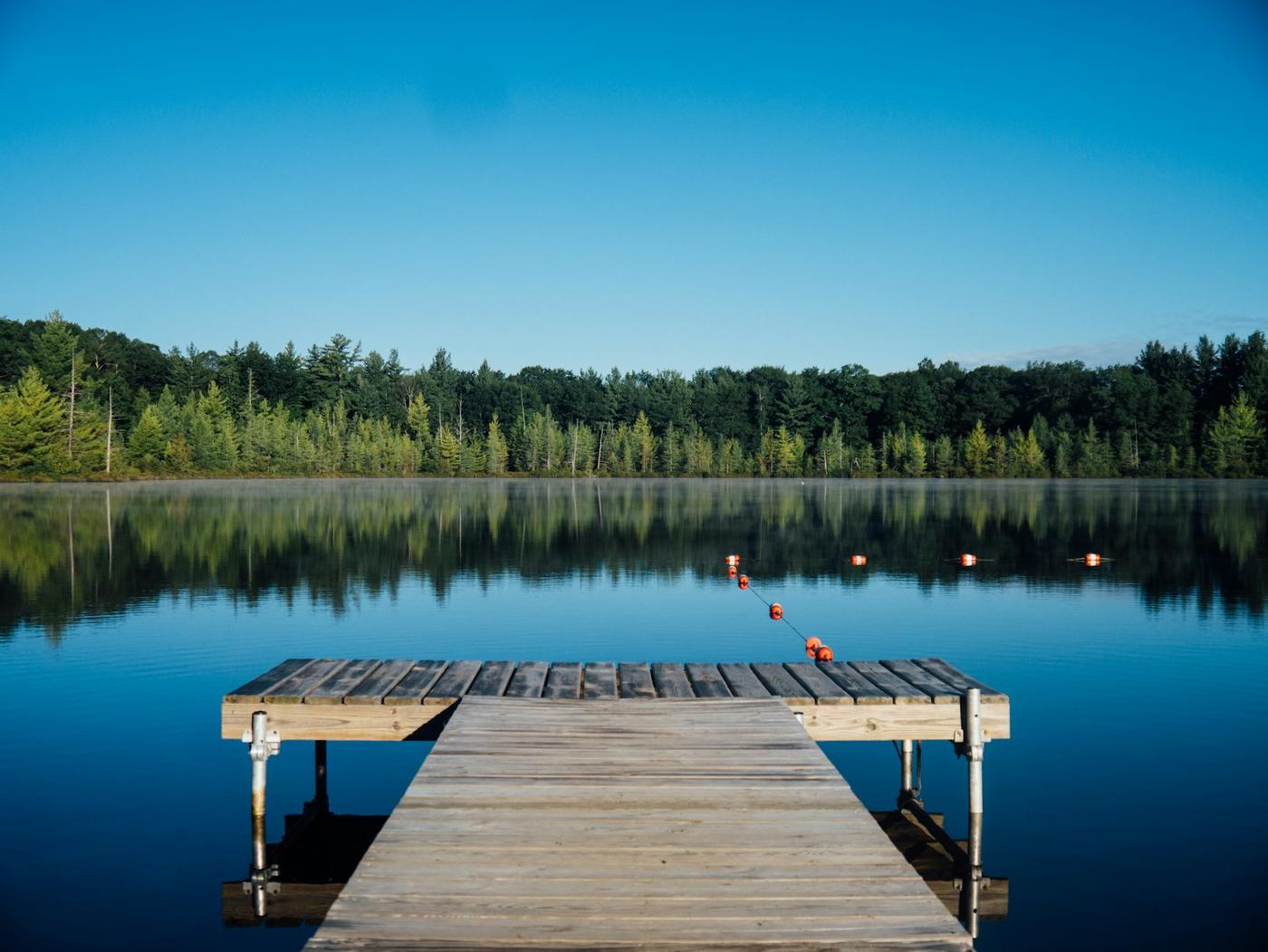 Wooden dock on calm water with trees along the far shore